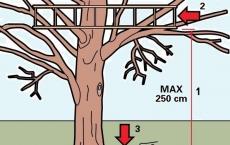 Как построить домик на дереве Домик на дереве без столбов